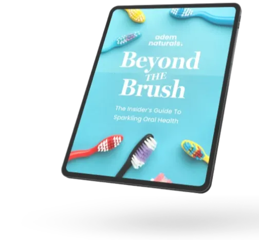 Three-dimensional mockups of complimentary digital bonuses and structural workout e-books provided at zero cost with bulk transactional bundles.
